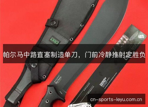 帕尔马中路直塞制造单刀，门前冷静推射定胜负